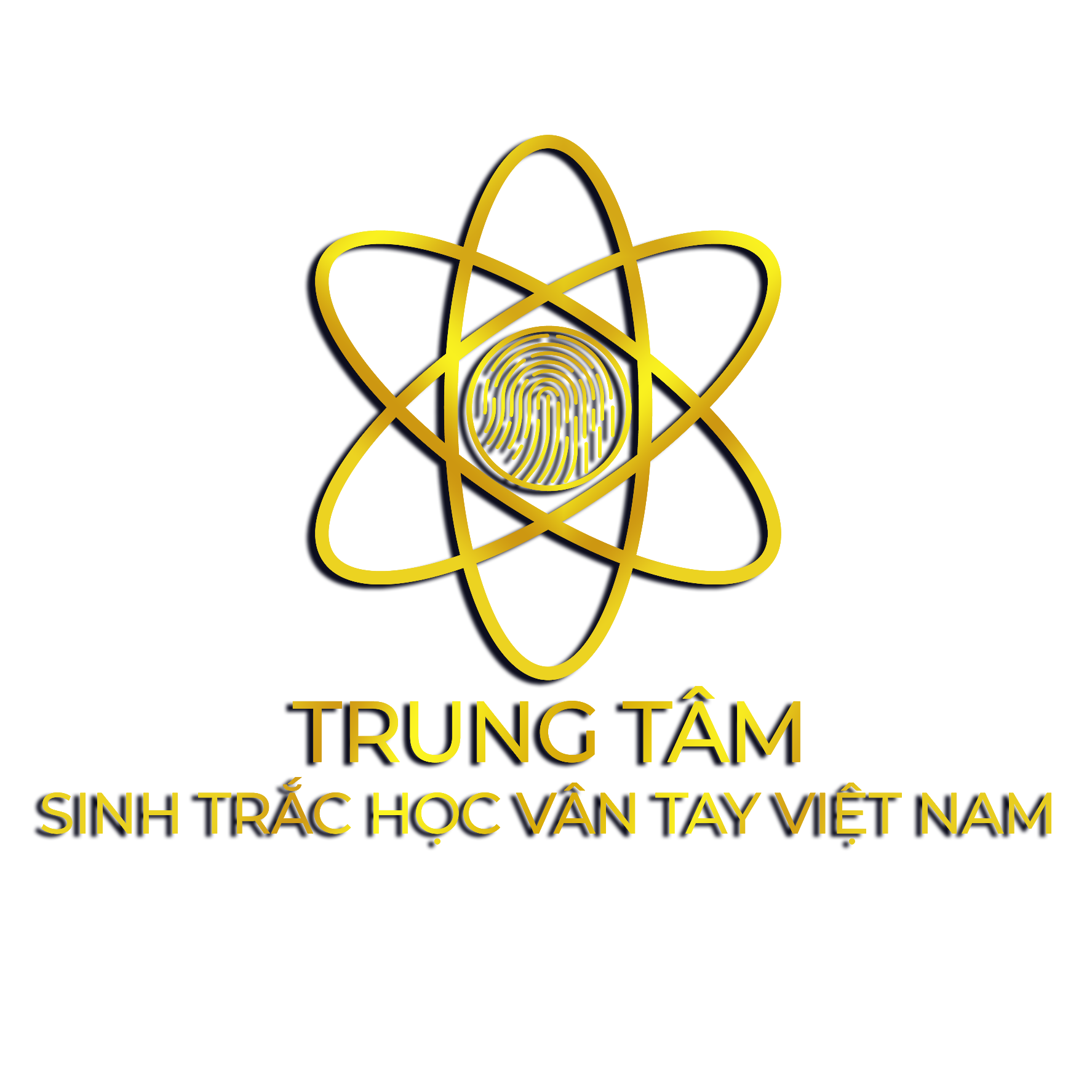 TRUNG TÂM SINH TRẮC HỌC VÂN TAY VIỆT NAM – PHÁT TRIỂN TÀI NĂNG, ĐỊNH HƯỚNG NGHỀ NGHIỆP