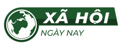 Xã Hội Ngày Nay